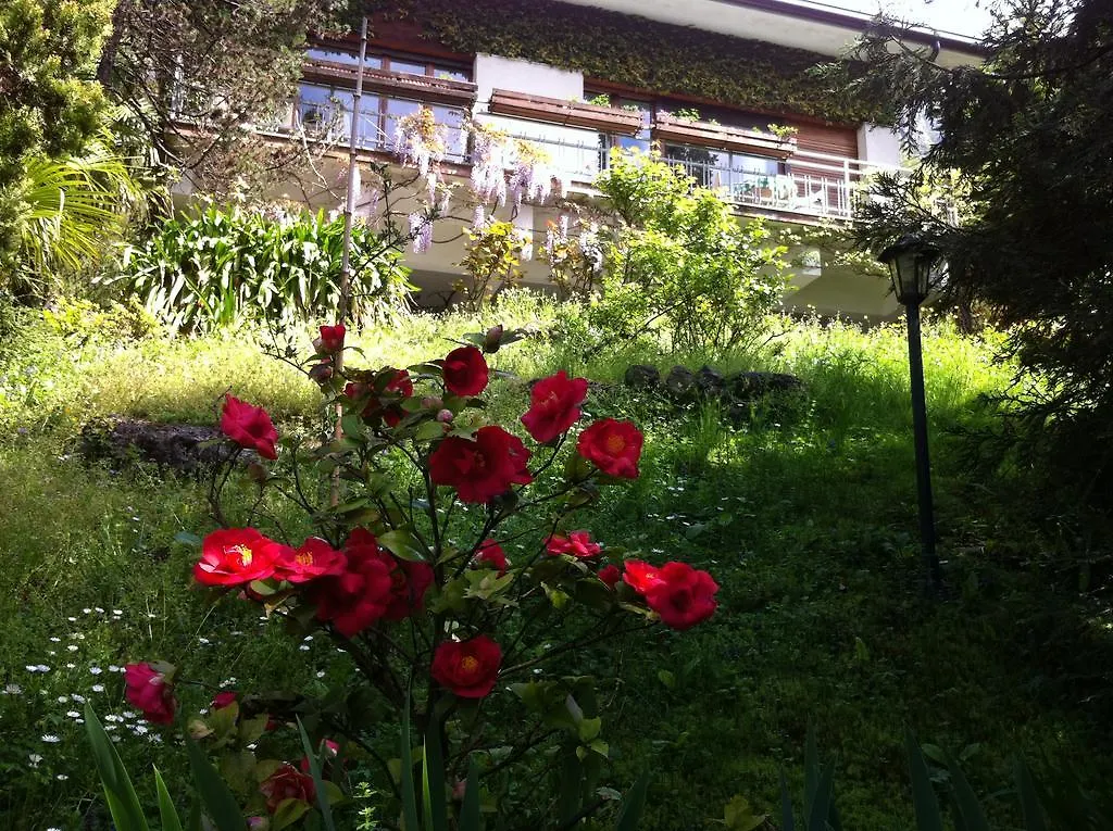 B&B Le Ortensie -Lago Di Como Lierna 0*,