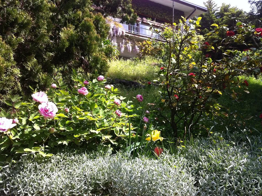 B&B Le Ortensie -Lago Di Como Lierna Bed & Breakfast