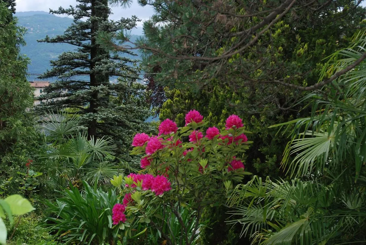 ليرنا B&B Le Ortensie -Lago Di Como 0*,  إيطاليا