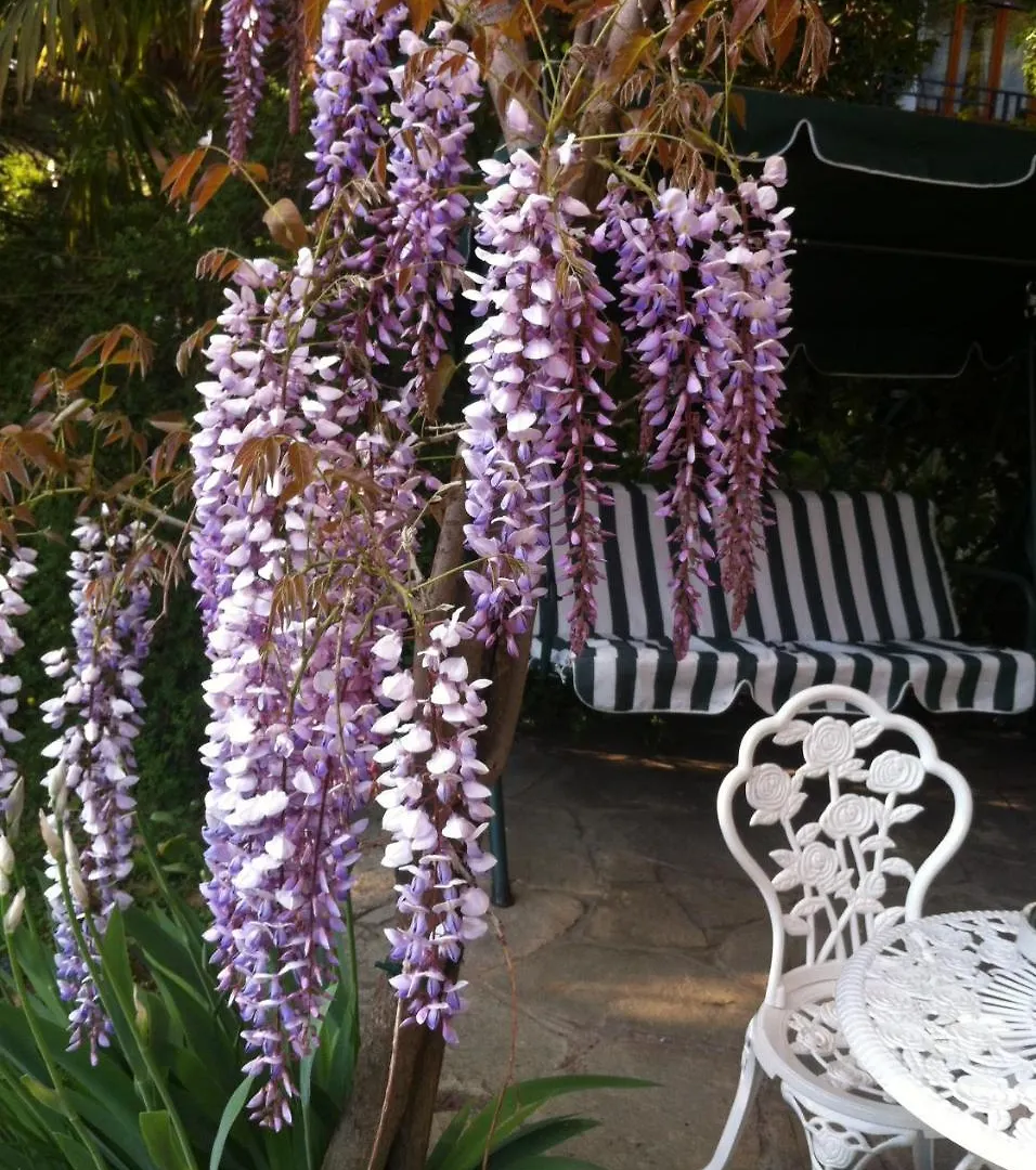 B&B Le Ortensie -Lago Di Como Lierna Bed & Breakfast
